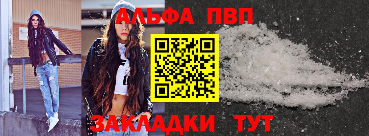 A PVP СК КРИС Алейск
