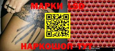гашик Абакан
