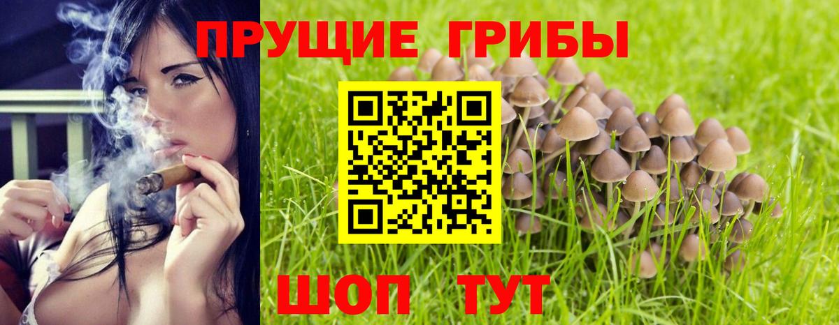 Псилоцибиновые грибы ЛСД  Псилоцибиновые грибы прущие грибы  Алейск  Вход с VPN 